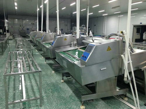 食品滚动包装机与电脑图文设计的完美融合 现代包装工业的核心驱动力