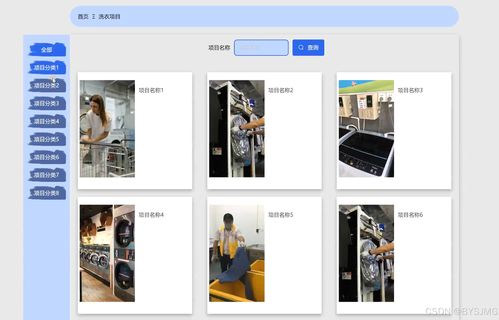 基于Python的干洗店预约洗衣系统设计与实现