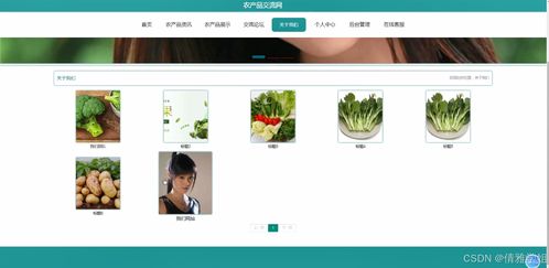 农产品交流网 基于Java的计算机毕业设计全流程探索